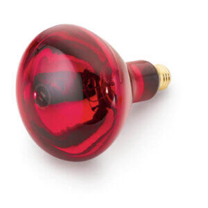 Infra Red Bulb, Red accessory