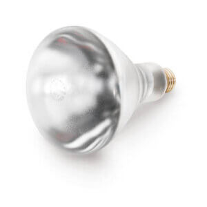 Infra Red Bulb, White product